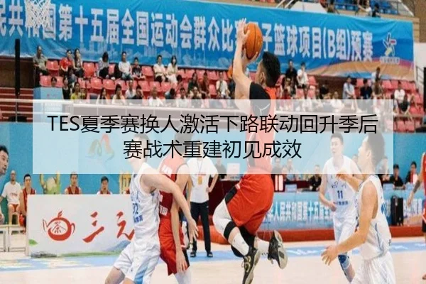 TES夏季赛换人激活下路联动回升季后赛战术重建初见成效